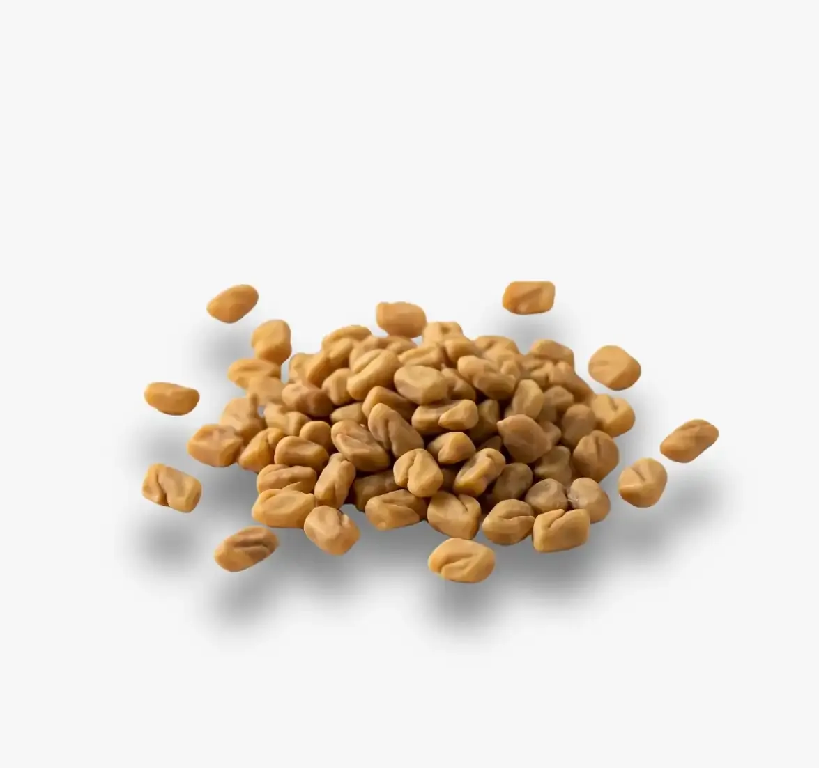 Methi (Fenugreek)