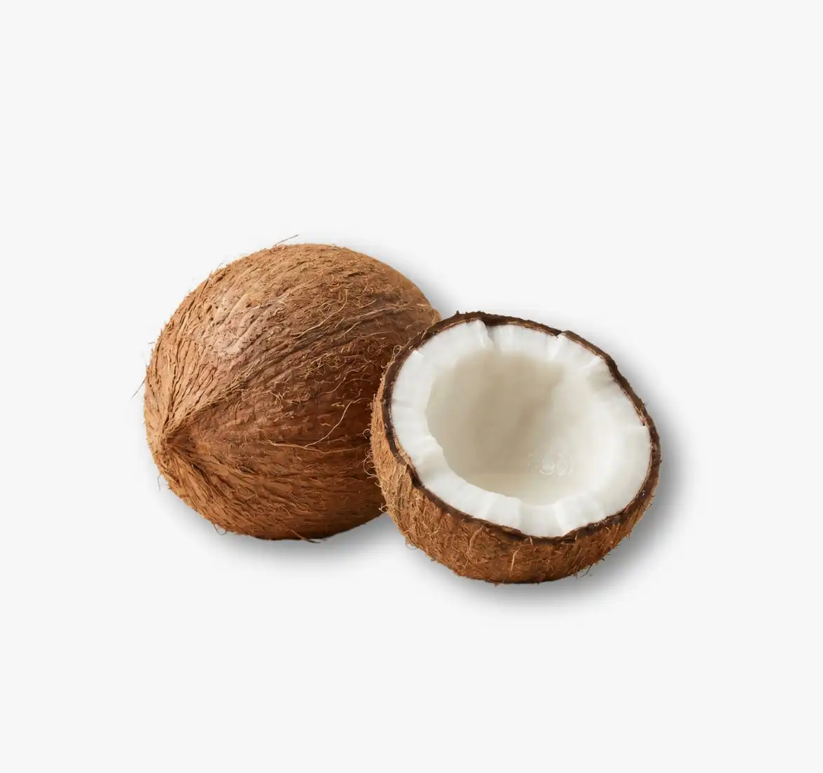 Coconut Oil